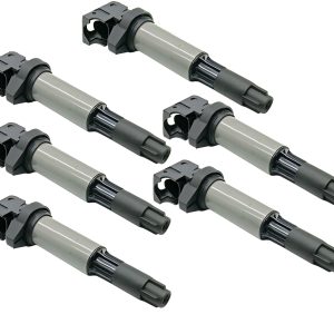 6 PCS Ignition Coil For BMW 320 325 E46 520 E39 X3 E85 Z4 M54 S54 12131712219