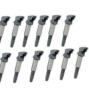 12 PCS Ignition Coil For BMW E65 E66 760i 760Li N73B60 6.0L 12138657273